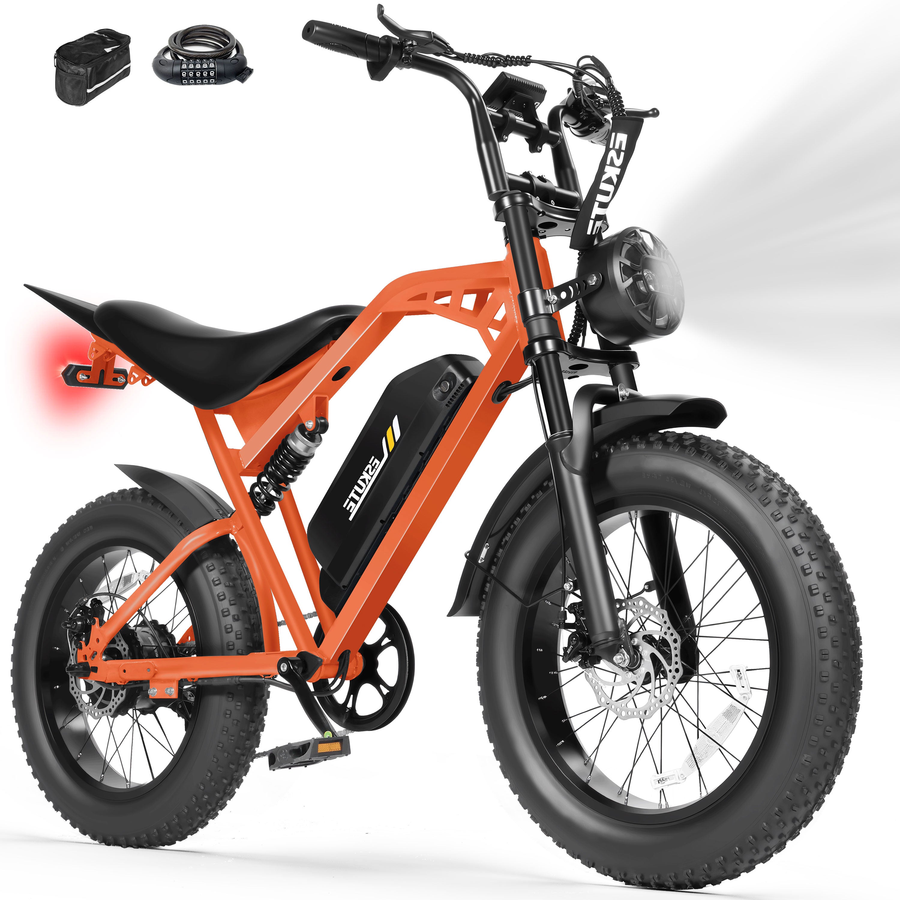V200 20 Inch Electric Bike for Adults