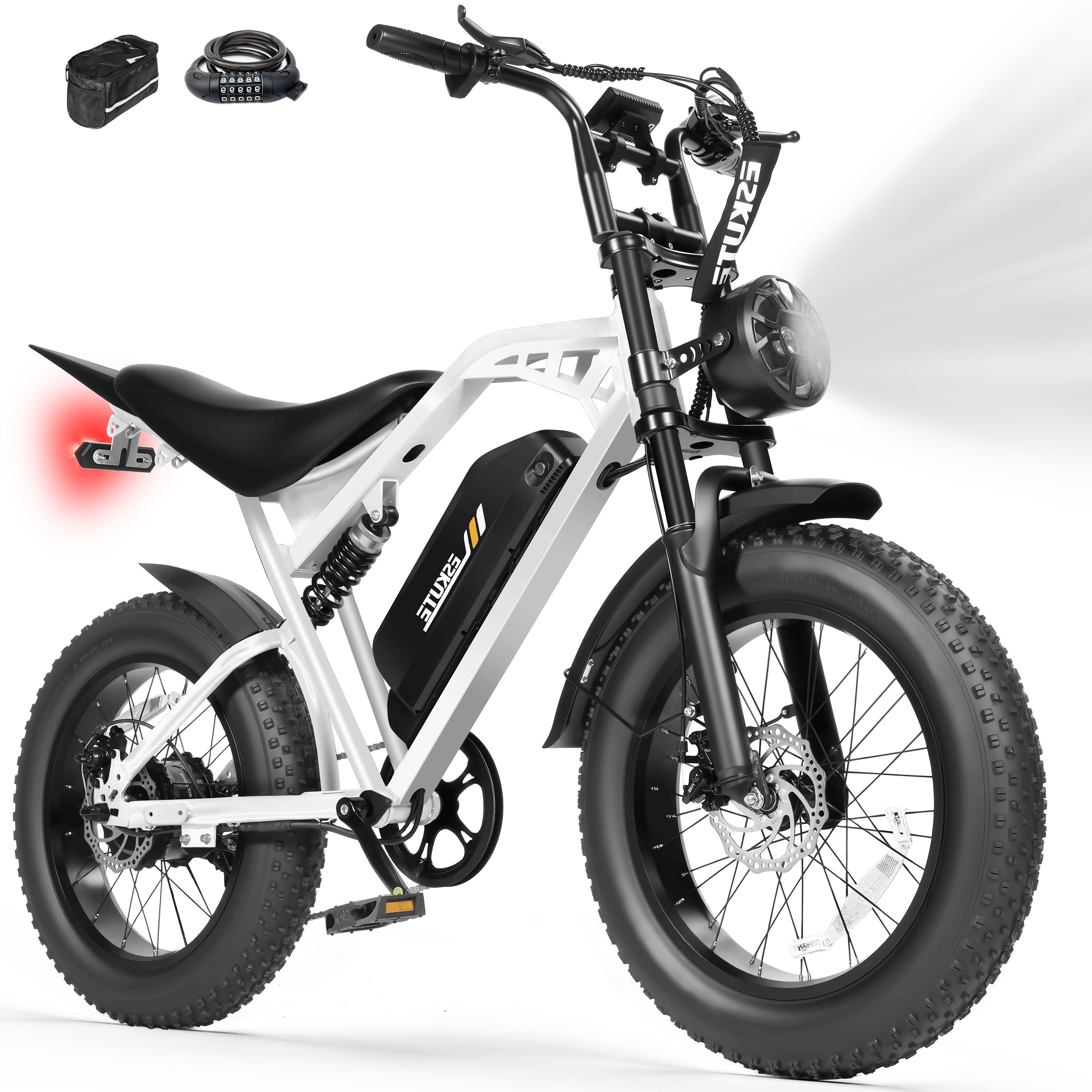V200 20 Inch Electric Bike for Adults