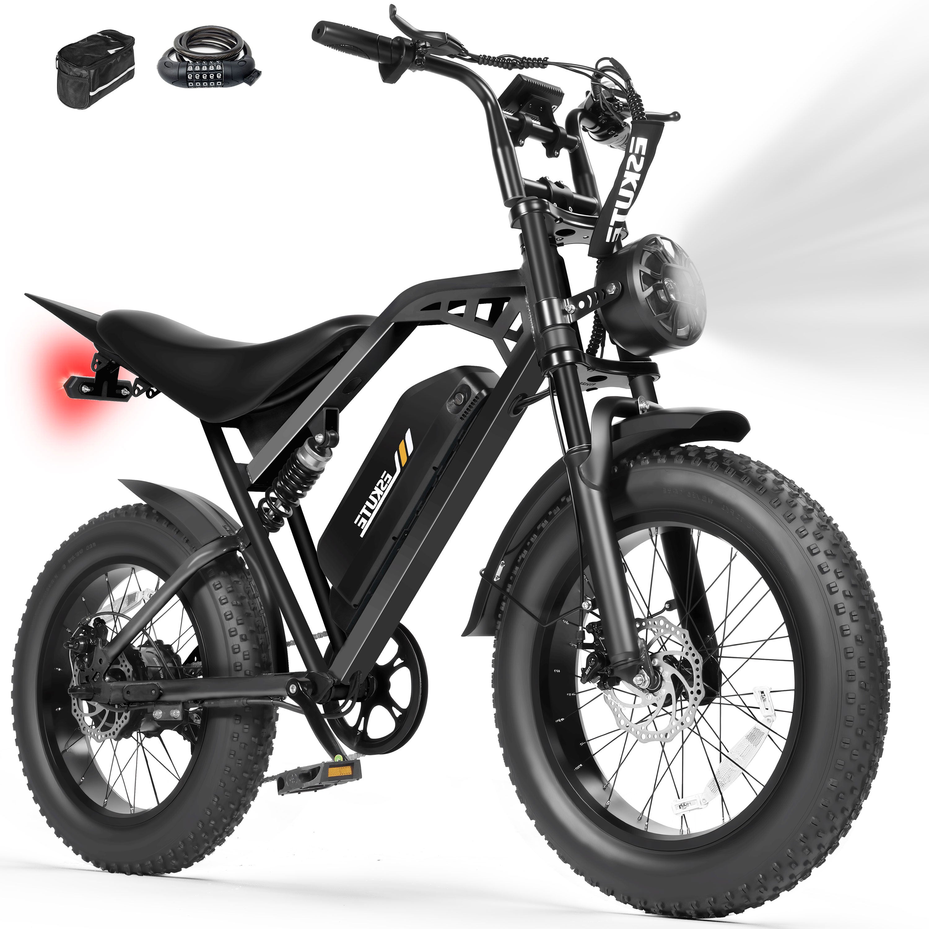 V200 20 Inch Electric Bike for Adults