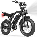 V200 20 Inch Electric Bike for Adults