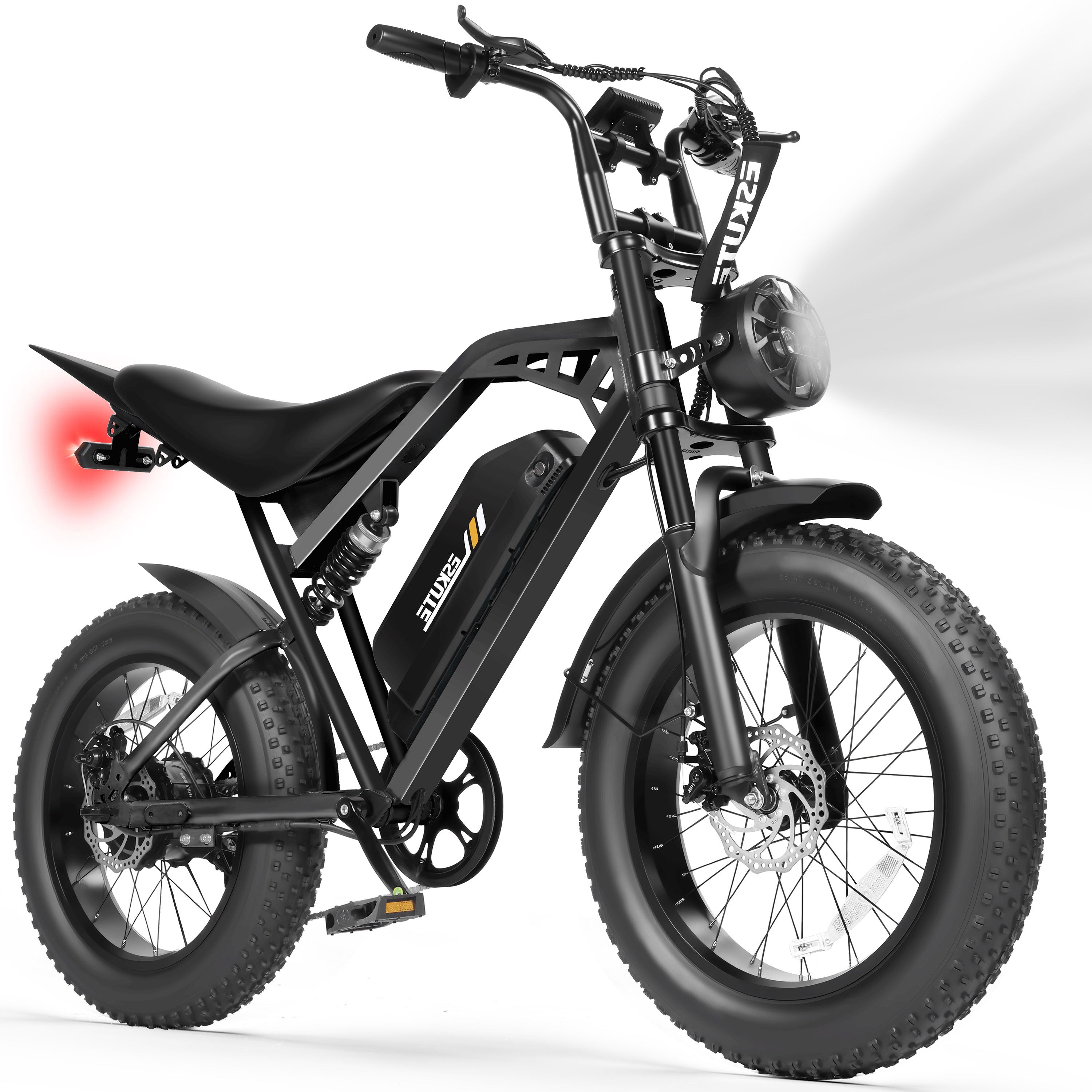 V200 20 Inch Electric Bike for Adults