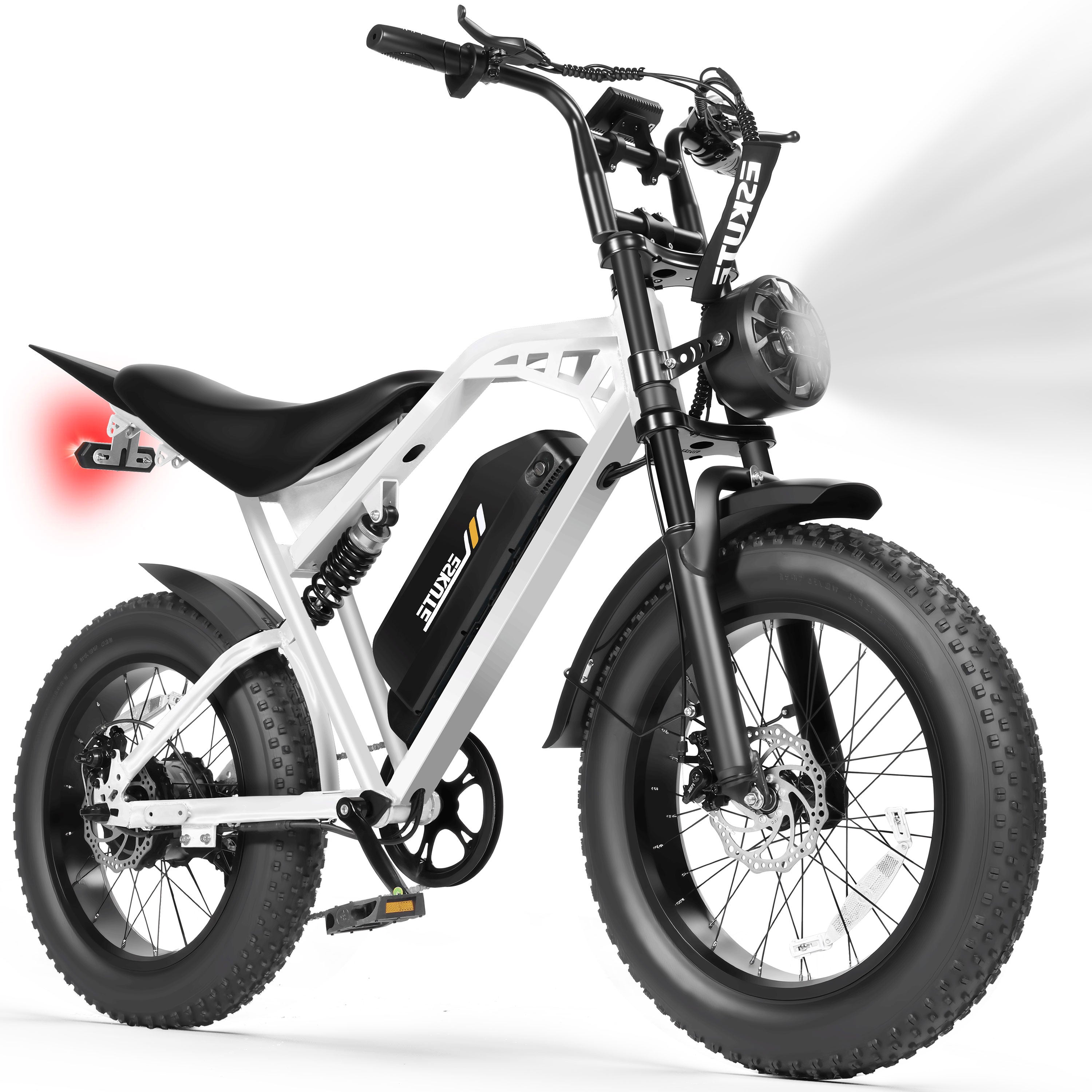 V200 20 Inch Electric Bike for Adults