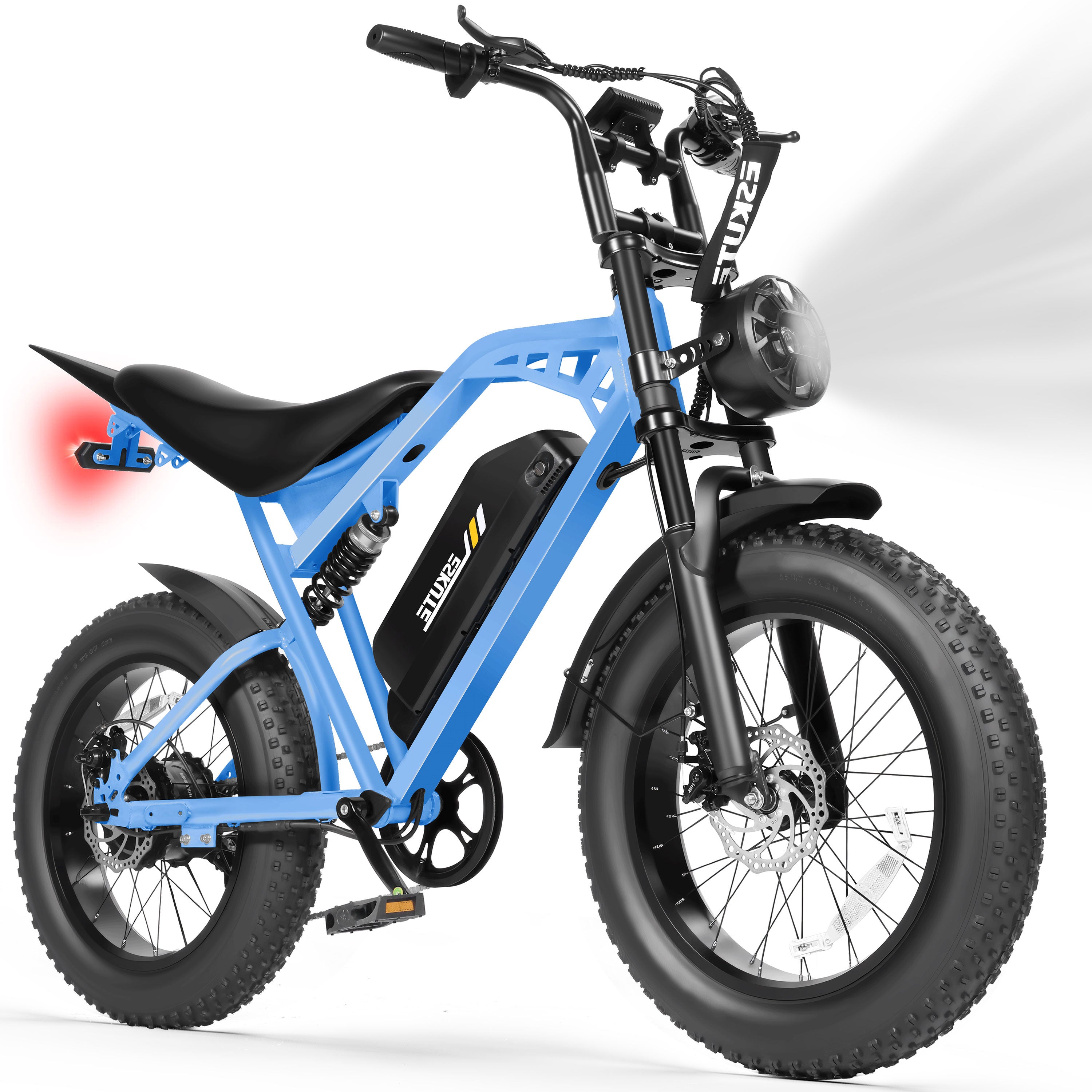 V200 20 Inch Electric Bike for Adults