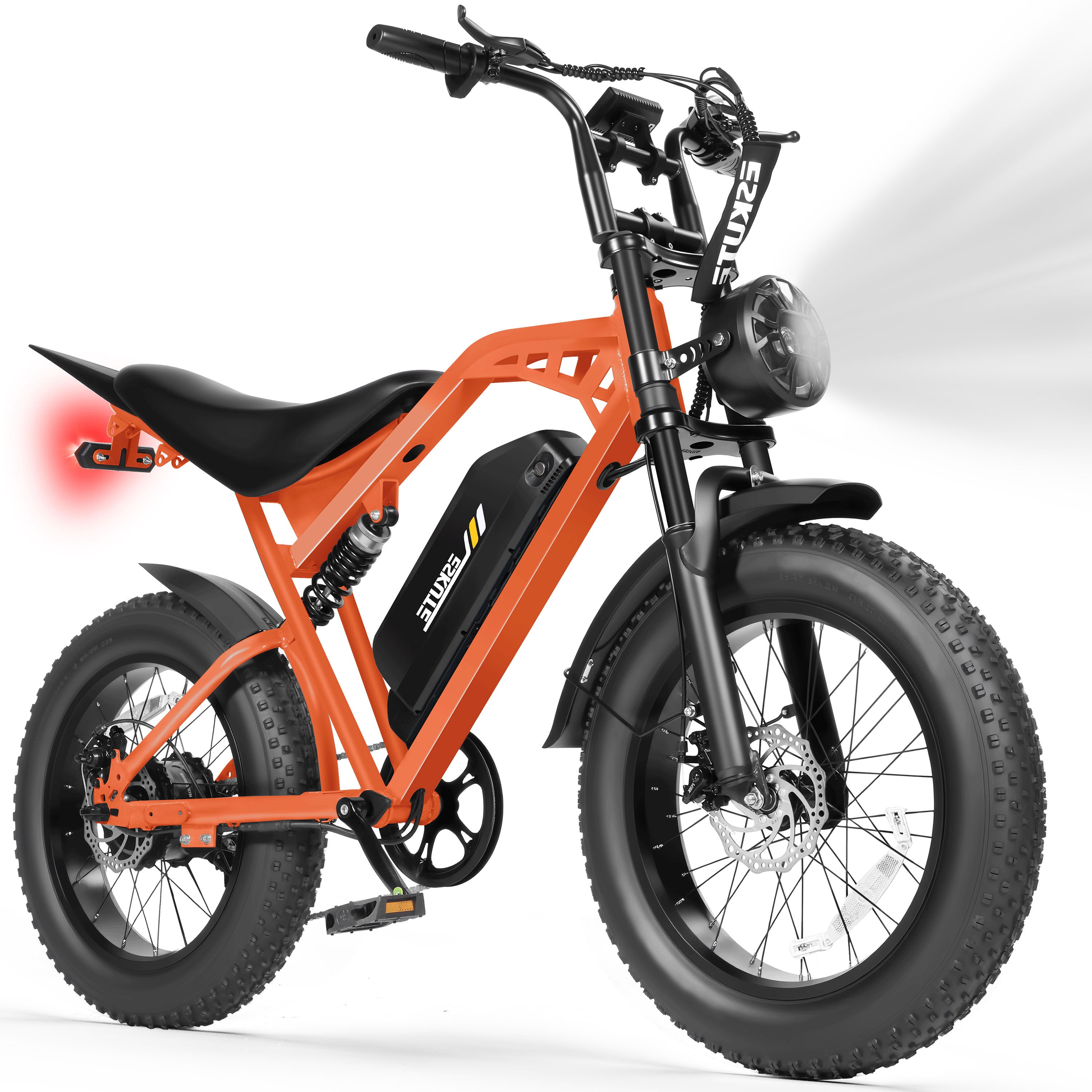 V200 20 Inch Electric Bike for Adults