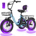 T300 E Trike Electric Tricycle for Adults