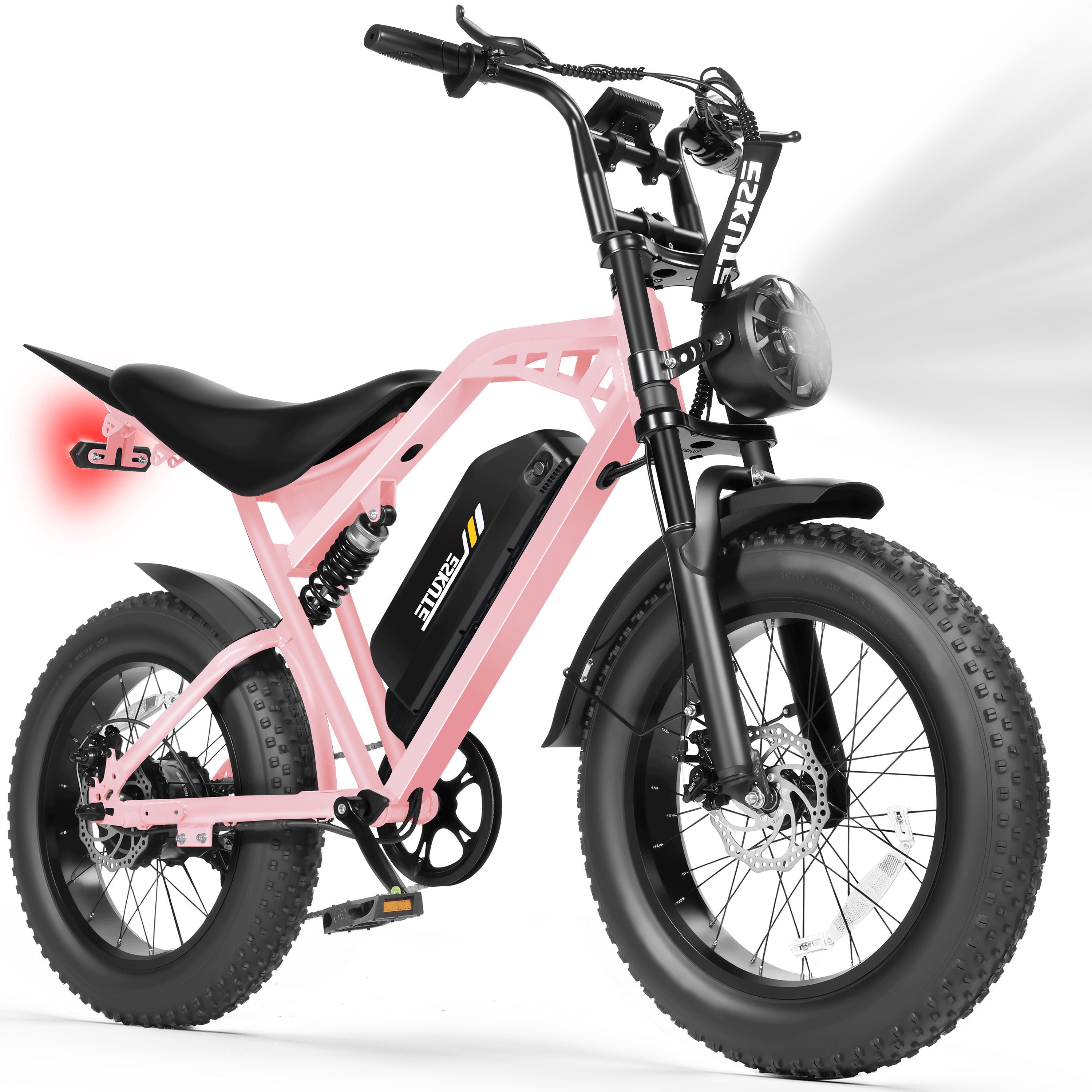 V200 20 Inch Electric Bike for Adults