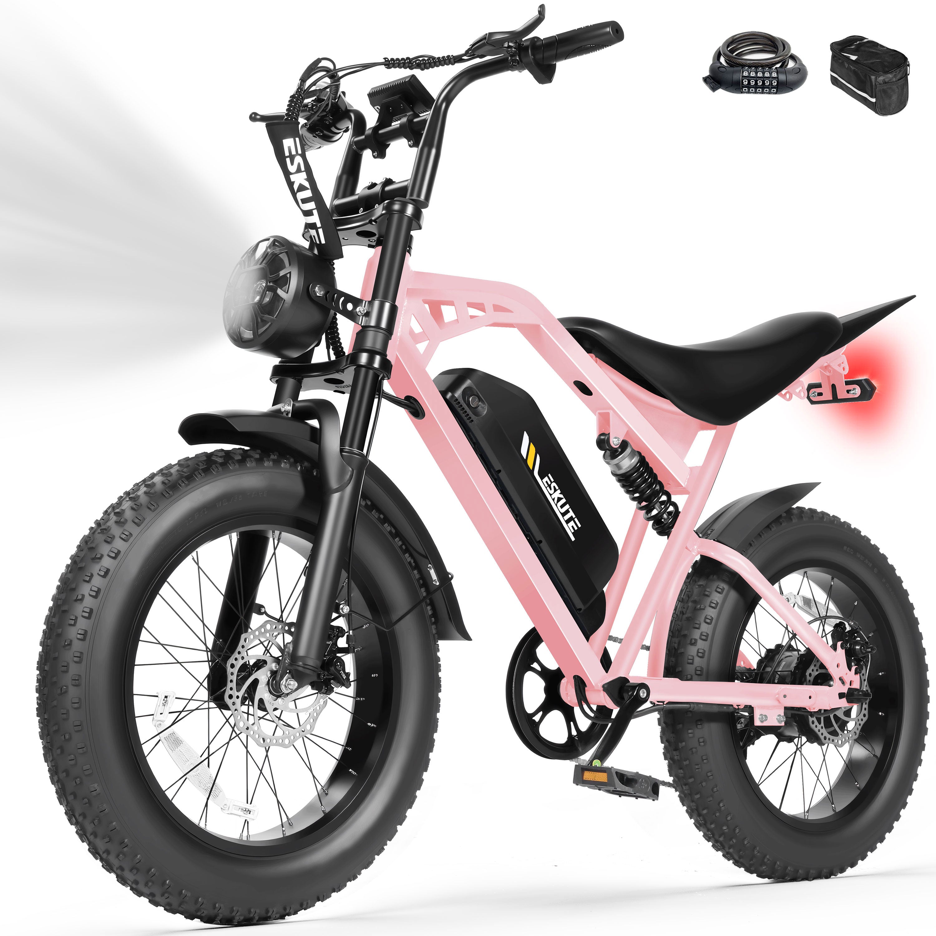 V200 20 Inch Electric Bike for Adults